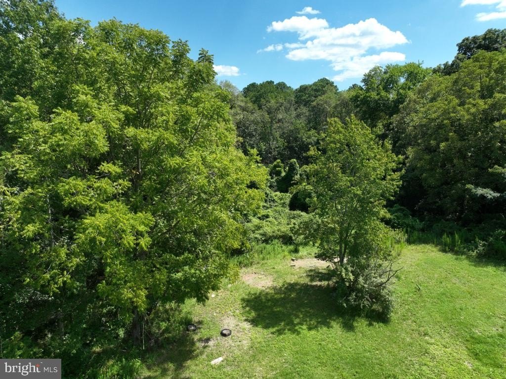 Picture 23