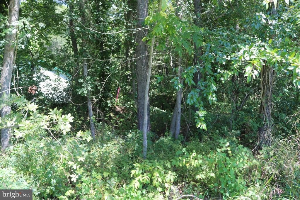 Picture 33