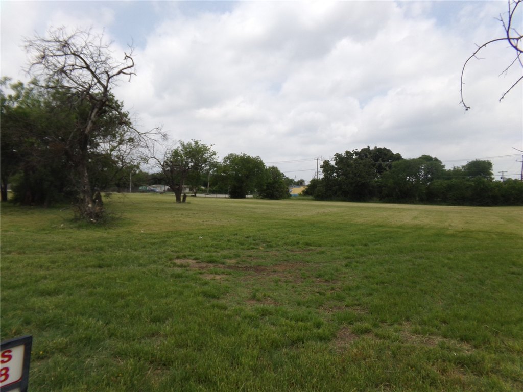 Picture 14