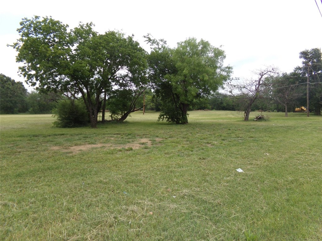 Picture 11