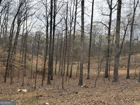 Industrial Lot in Lithia Springs