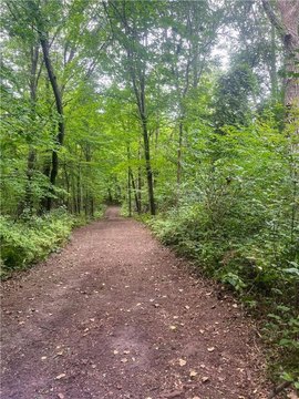 30 Acres Wooded Private Retreat