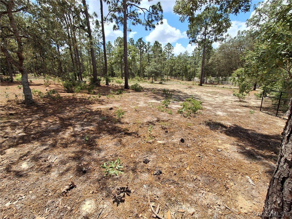 Picture 18