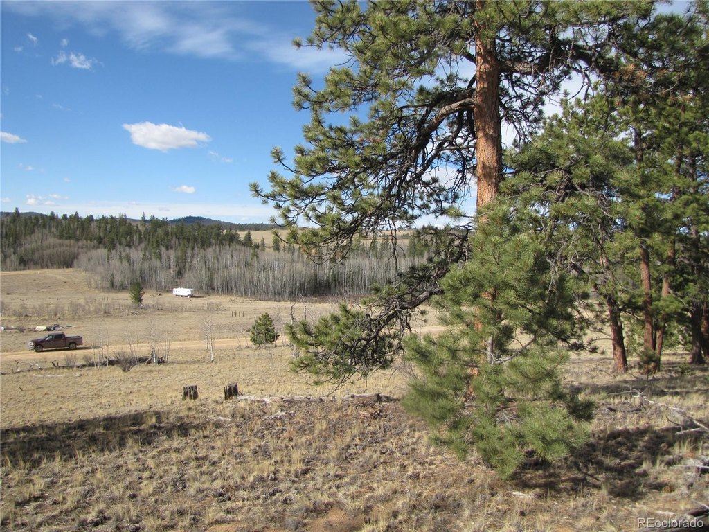 Picture 24