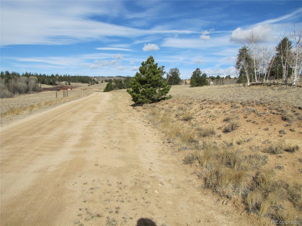 Picture 19