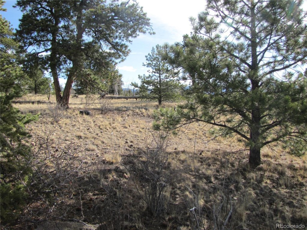 Picture 26