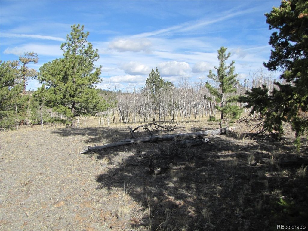 Picture 25