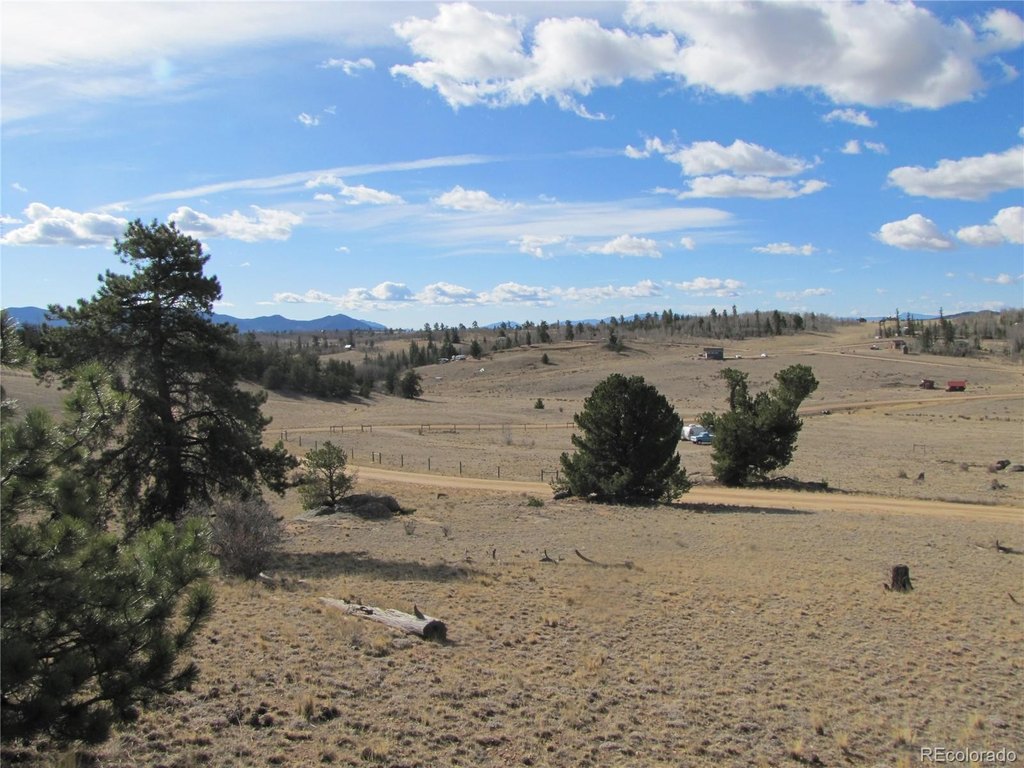 Picture 27