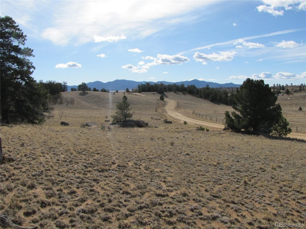 Picture 30