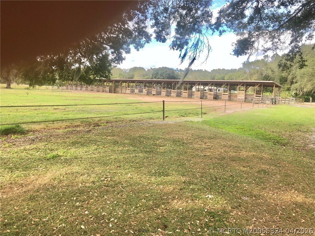 Picture 16