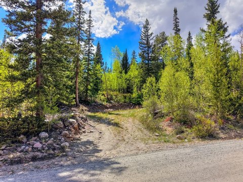 LAND - ALMA, CO