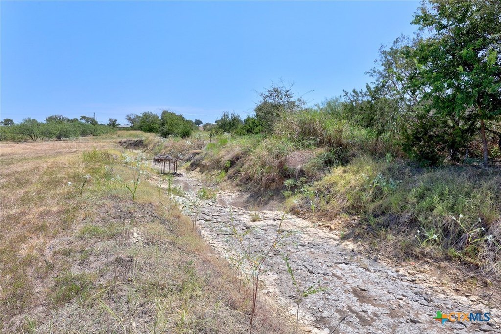 Picture 6