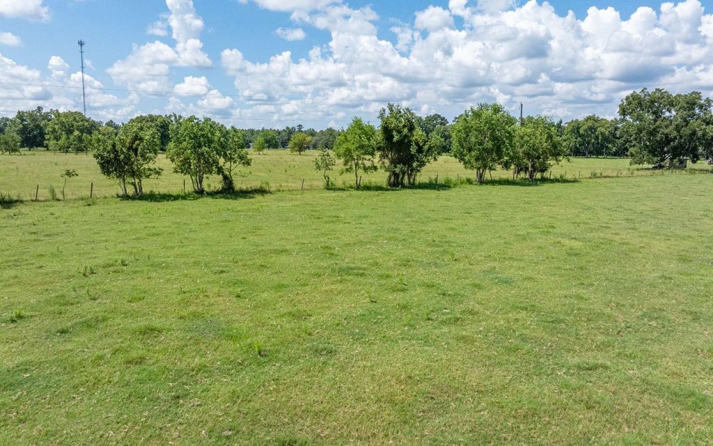 Picture 25