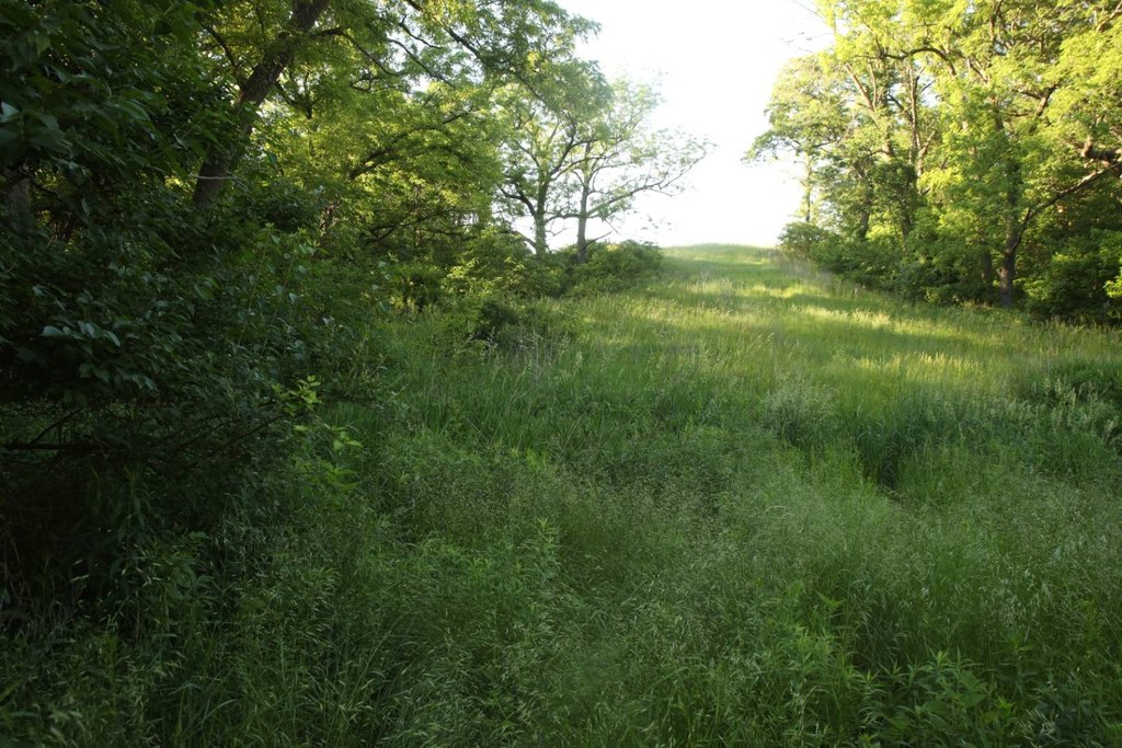 Picture 21