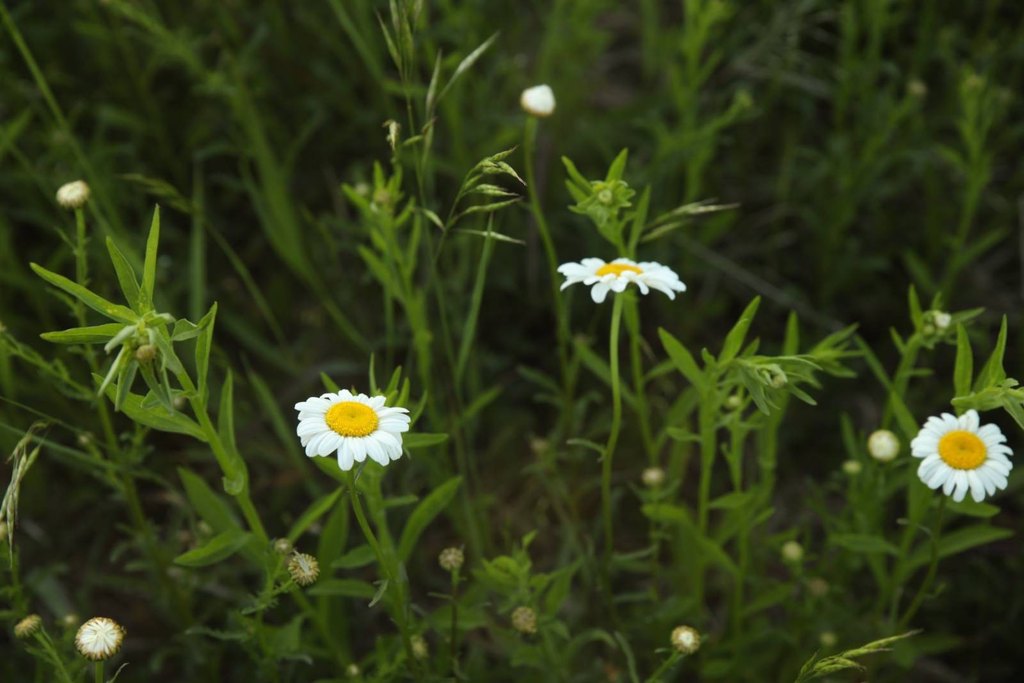 Picture 30