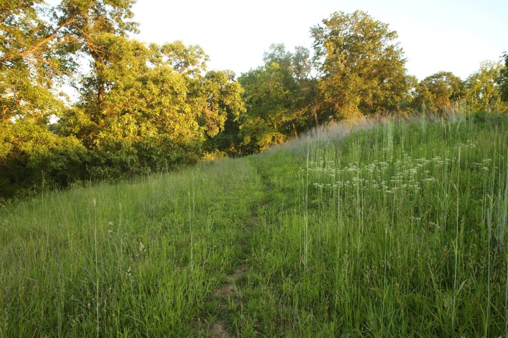 Picture 34