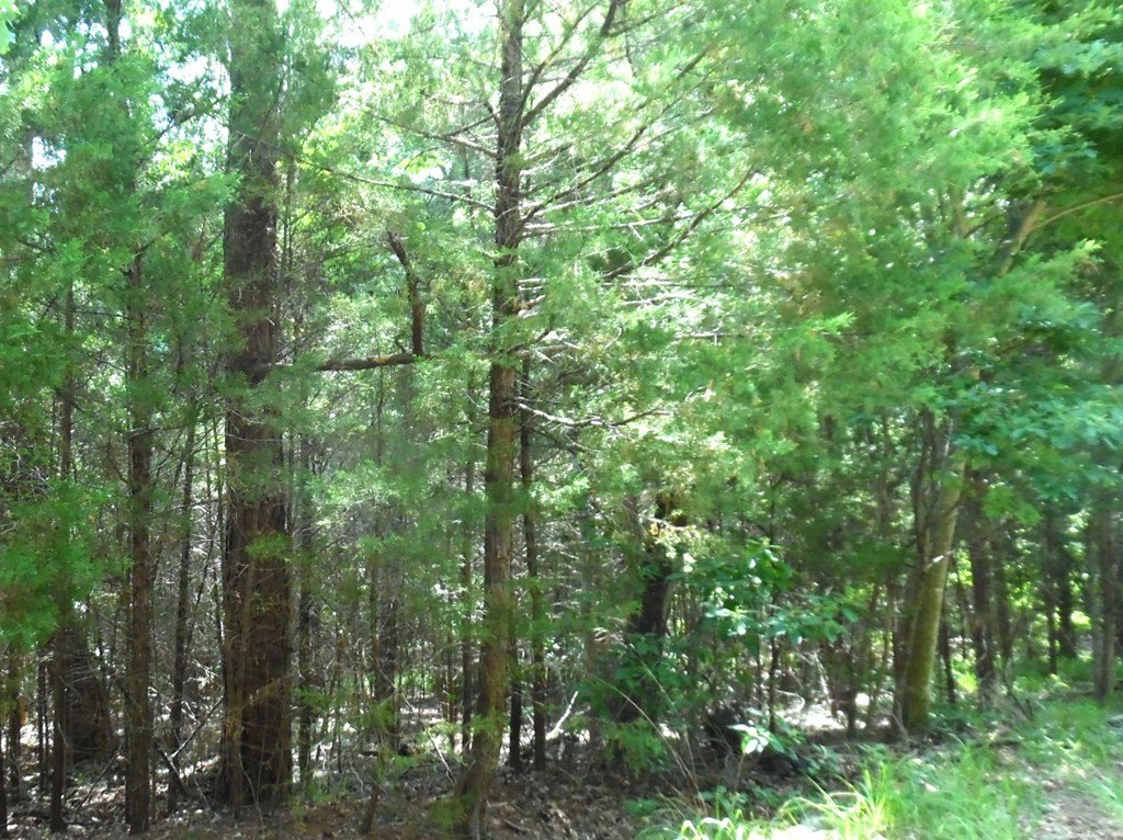 Picture 12