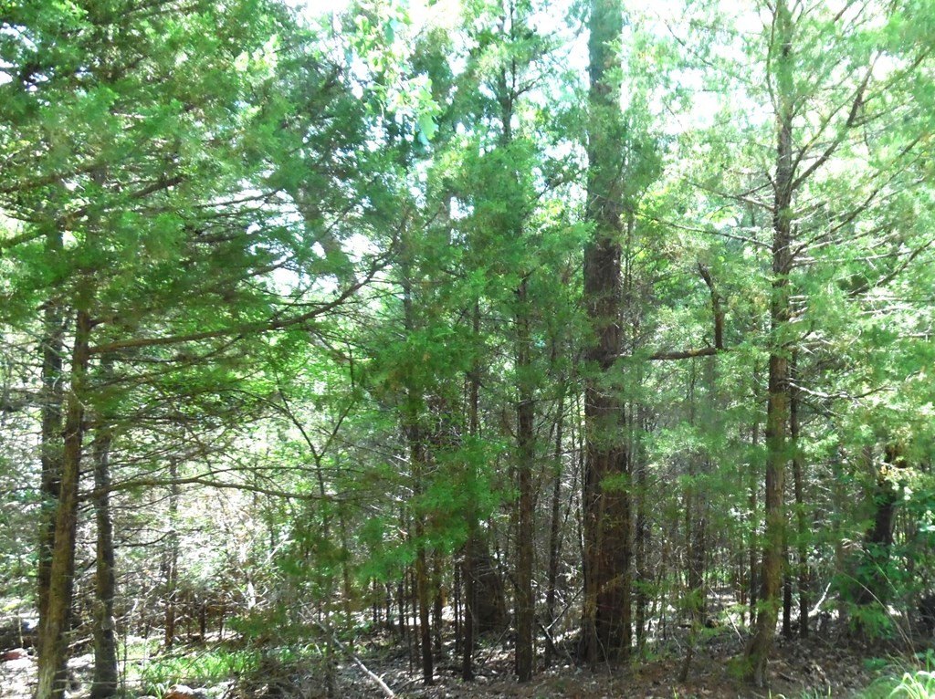 Picture 6