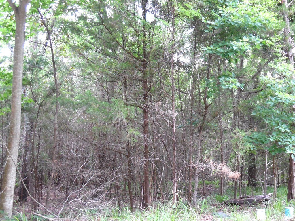 Picture 9