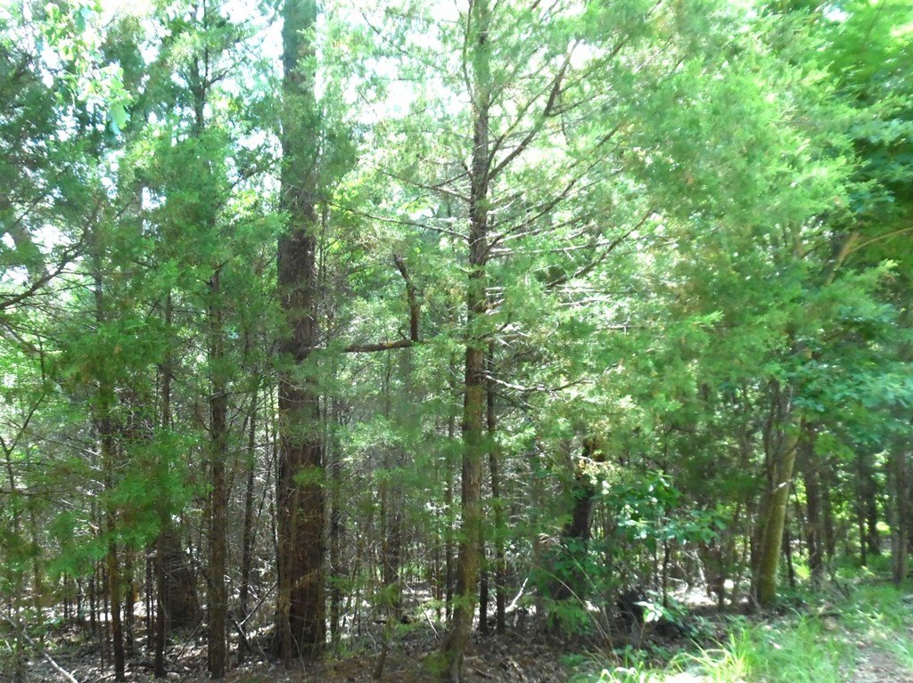 Picture 14