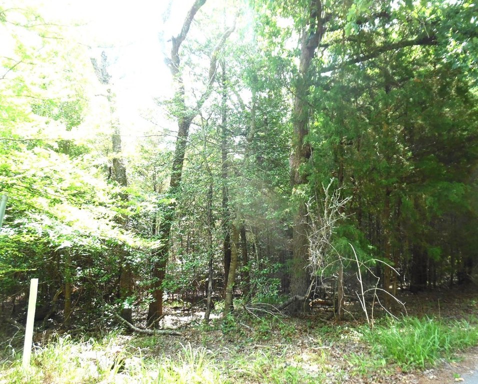 Picture 11