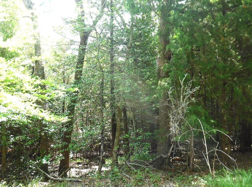 Picture 10