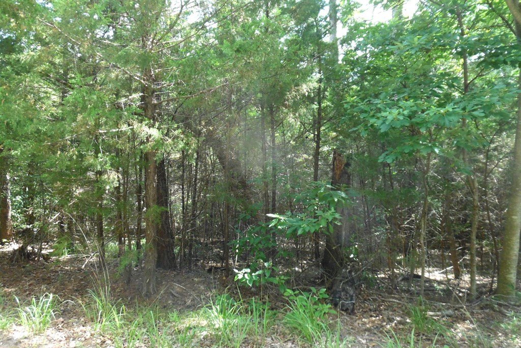Picture 4