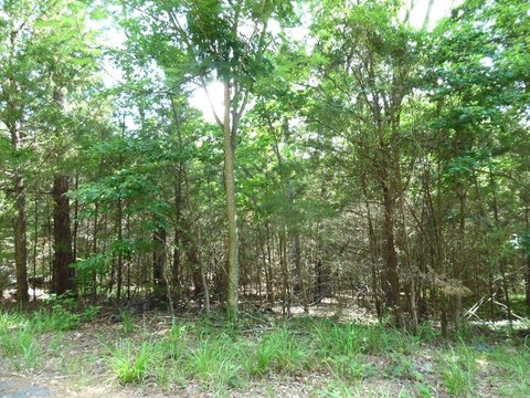 LAND - Murchison, TX