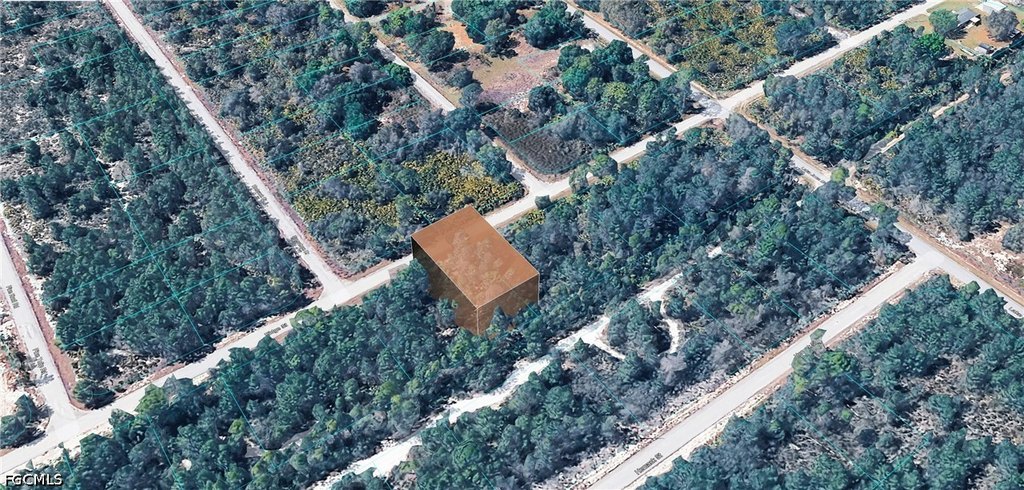 Picture 3