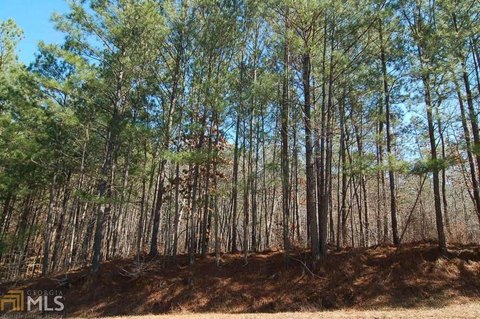 Greensboro Land Near Lake Oconee