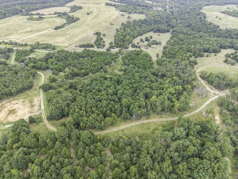 Land, Mountain Grove, MO