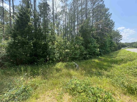 Unrestricted Land in Vina, Alabama