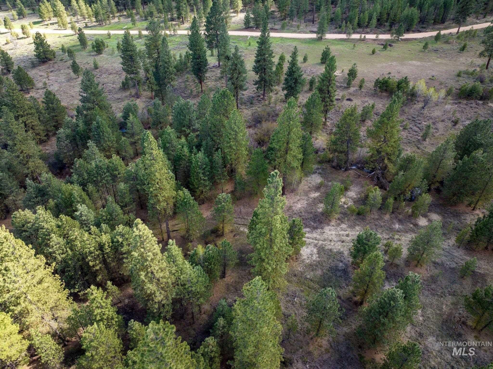 Placerville Land with Creek Frontage