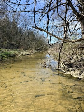 58 Acres of Kentucky Land