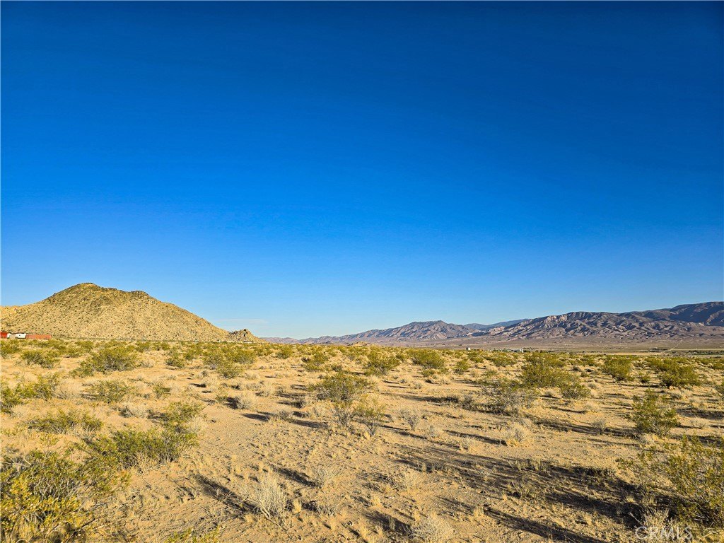 Picture 25