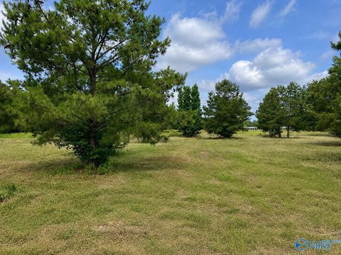 LAND - Centre, AL