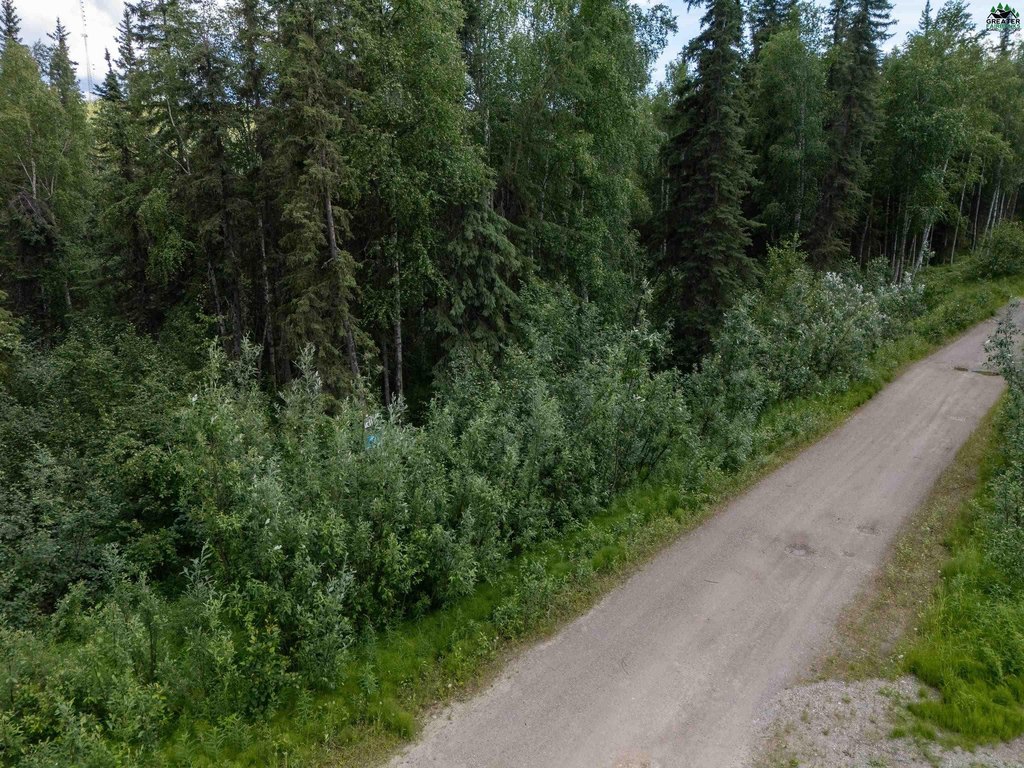 Picture 25