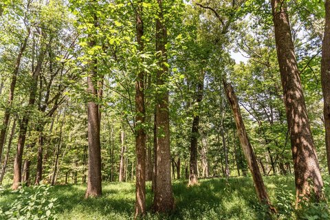 Land, Amherst, VA