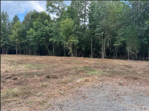 Land, Keatchie, LA
