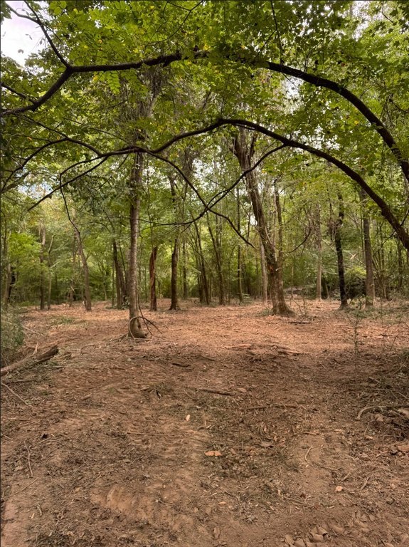 Picture 18