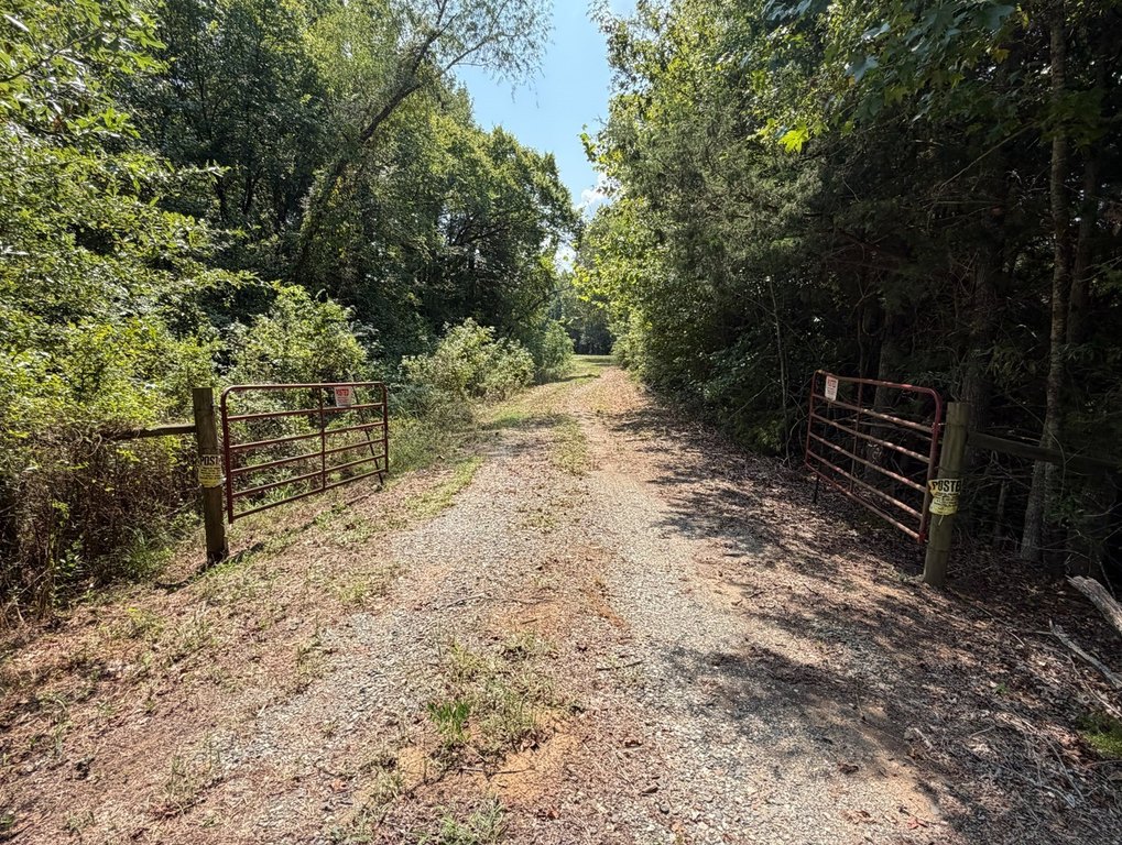 Picture 7