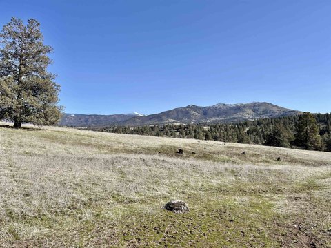 Montague Land with Creek Border
