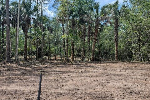 BUNNELL, FL