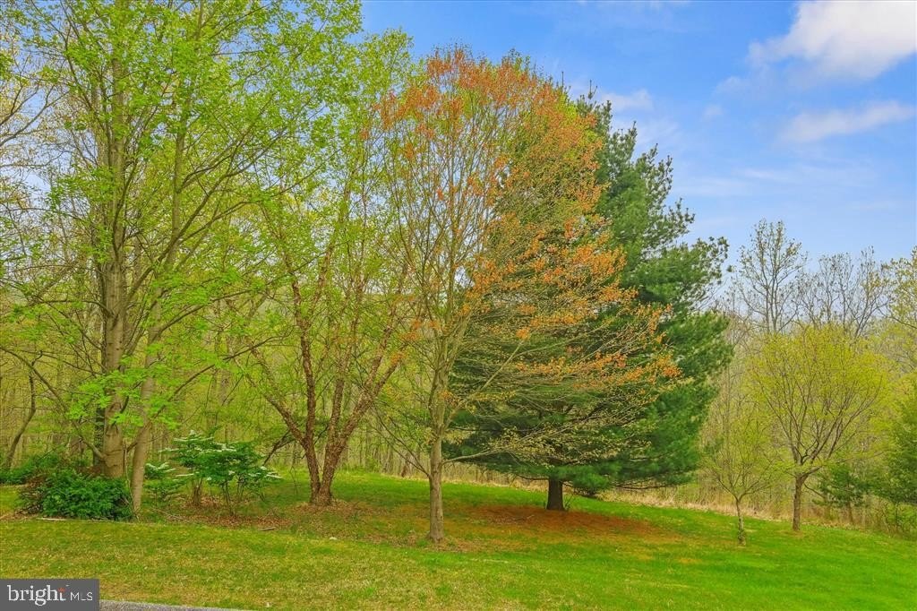 Cockeysville Land with Wooded Views