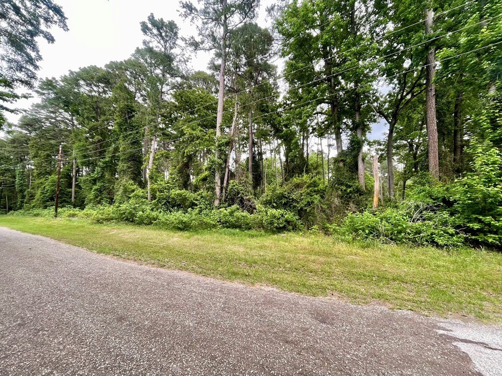 Picture 5