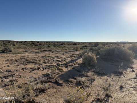 California City Land Investment