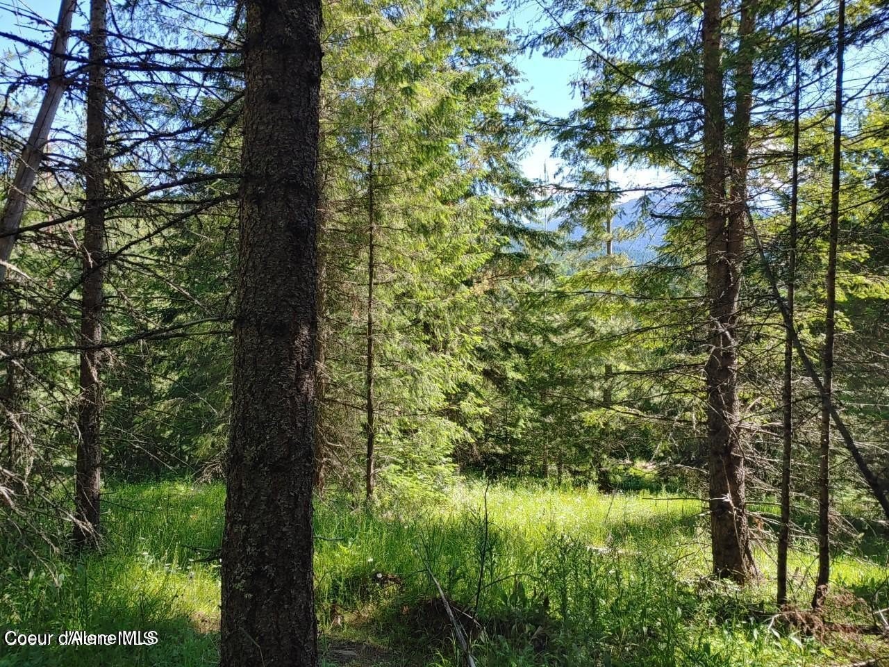 Secluded Land Near St. Maries