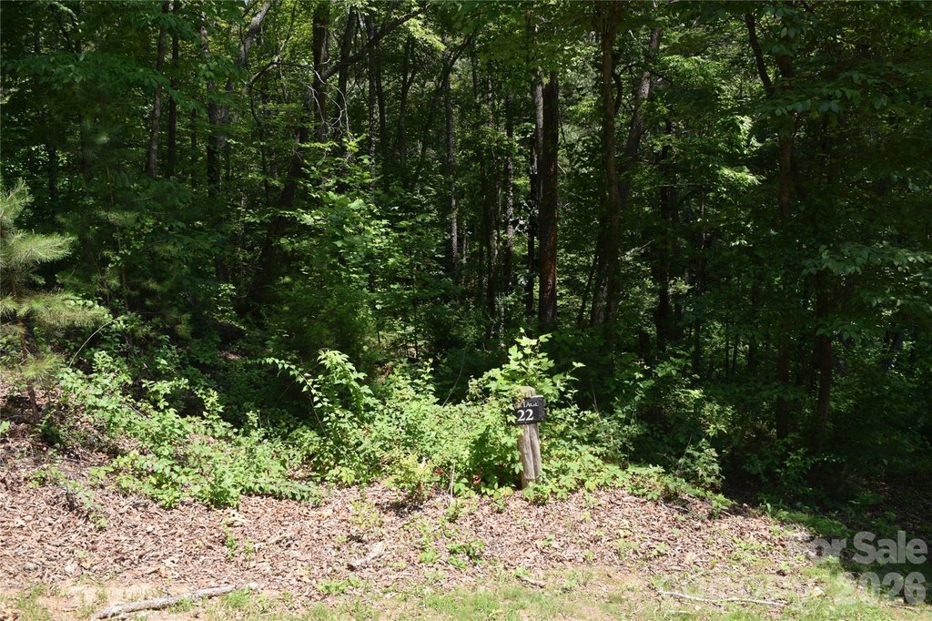 Picture 23