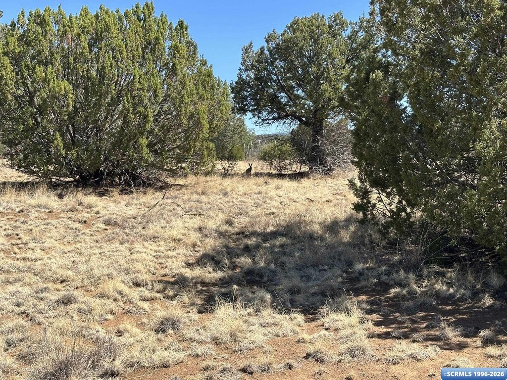 Picture 28