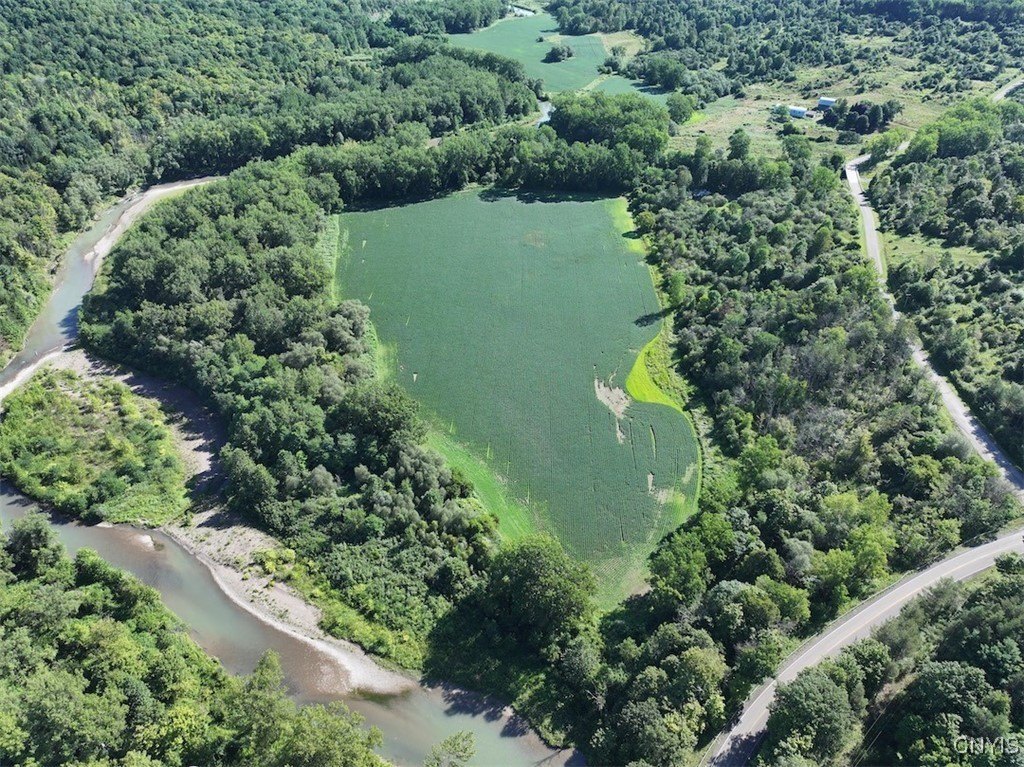 50 Acres of Versatile Land